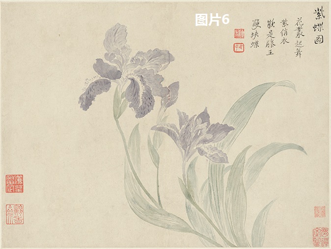 作品列表 【带框】花卉精品镜心 恽寿平