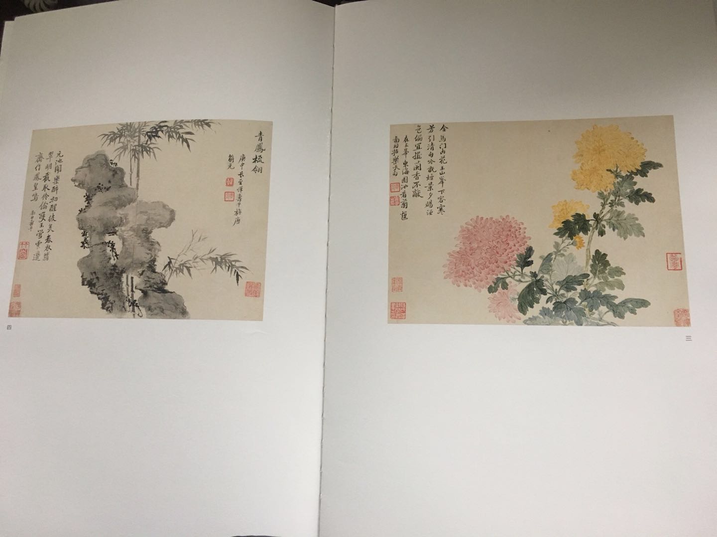 恽寿平-花卉册局部.jpg